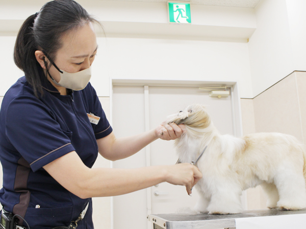 先生の試技を１年生が見学☆ＰＡＲＴ②☆